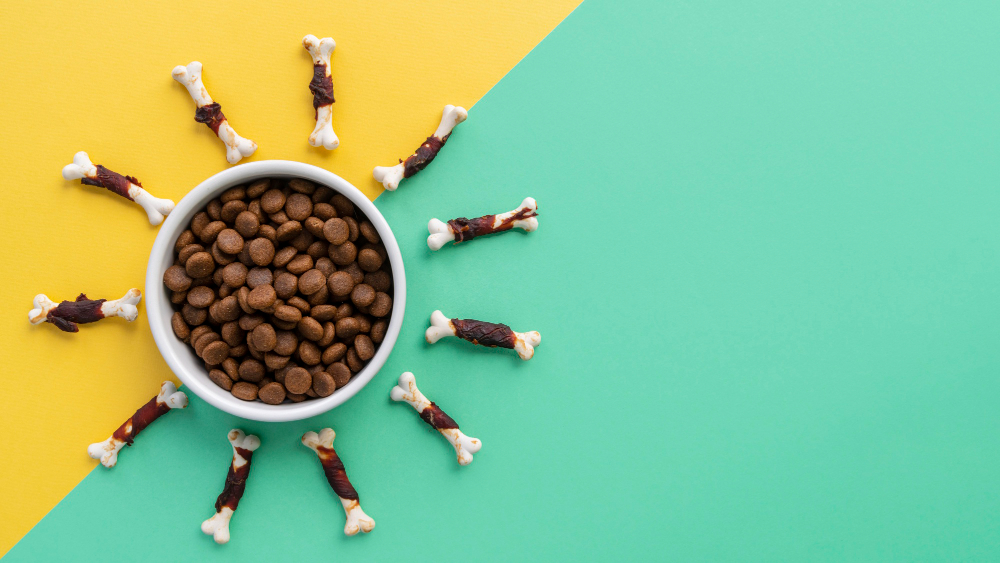 Pet food bowl with kibble and gravy system